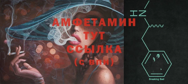 хмурый Осинники
