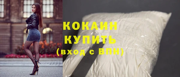 хмурый Осинники