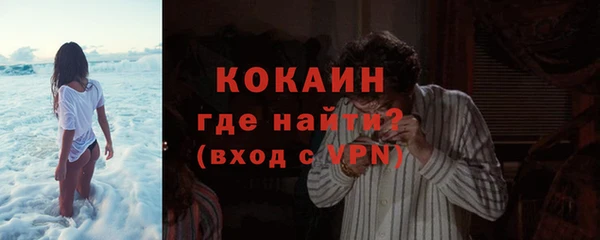 ALPHA PVP Няндома
