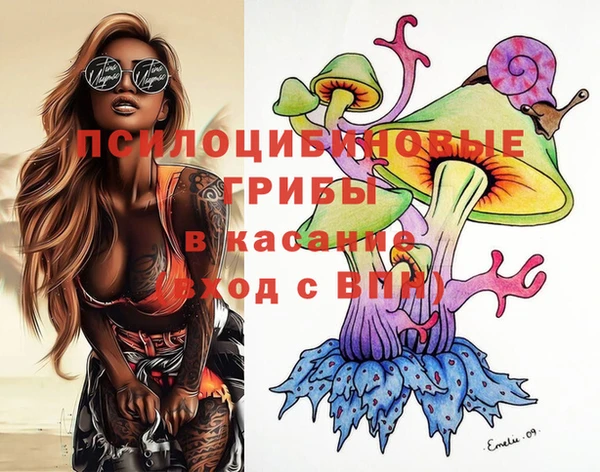 хмурый Осинники