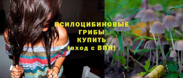 хмурый Осинники