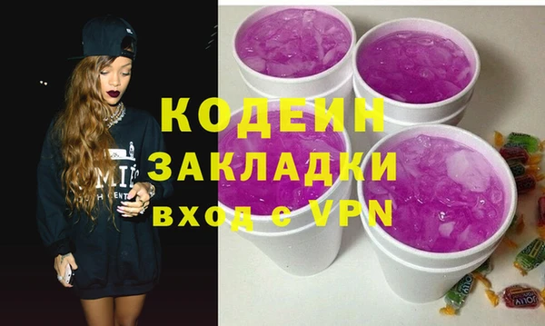 хмурый Осинники