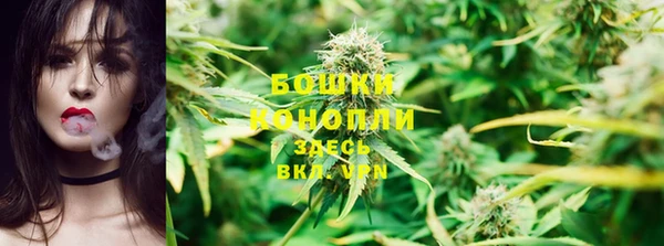 хмурый Осинники