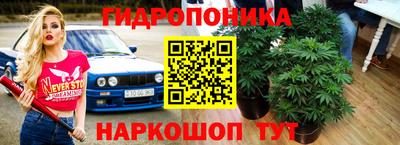 соль ск Апрелевка