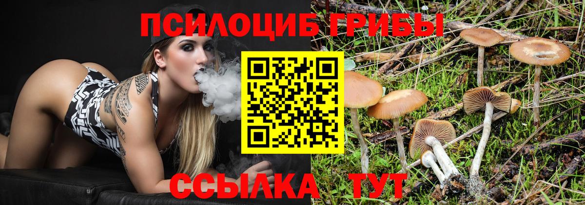 Михайловск  Галлюциногенные грибы мухоморы  Вход с VPN 