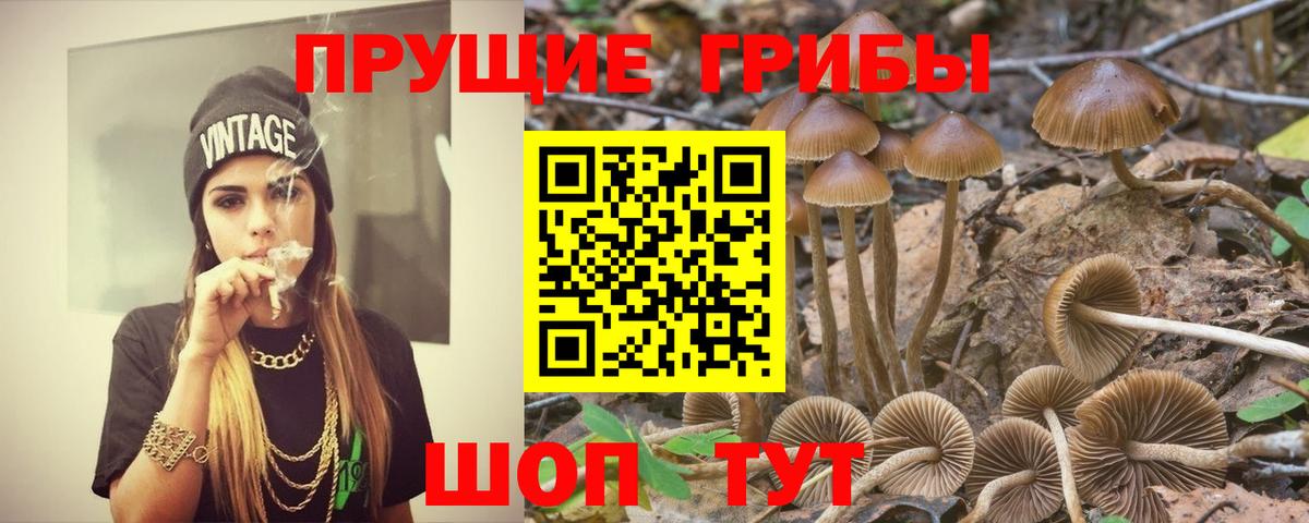 Галлюциногенные грибы Cubensis Михайловск