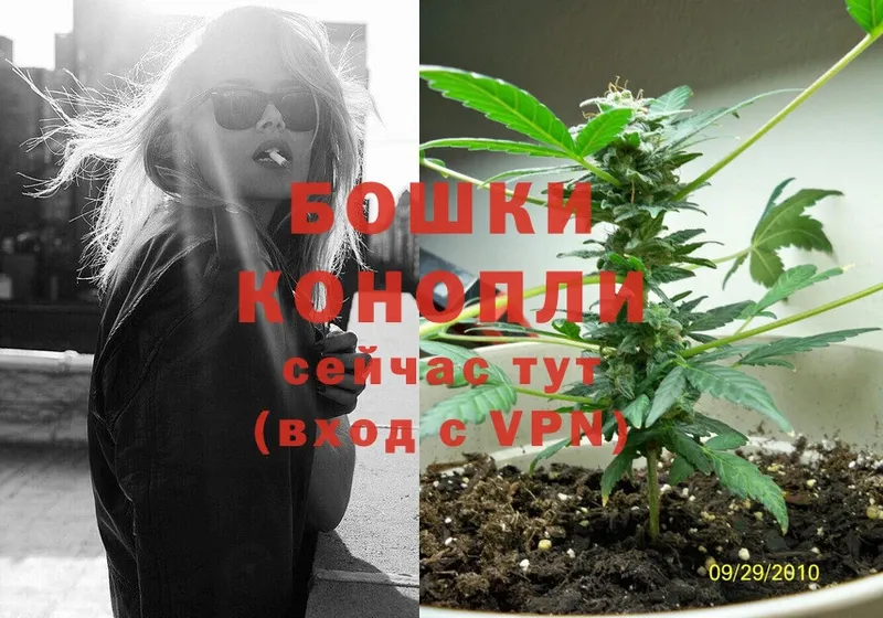 Бошки марихуана Ganja  Михайловск 